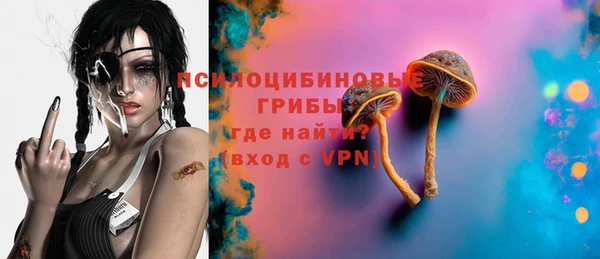 спиды Дмитриев