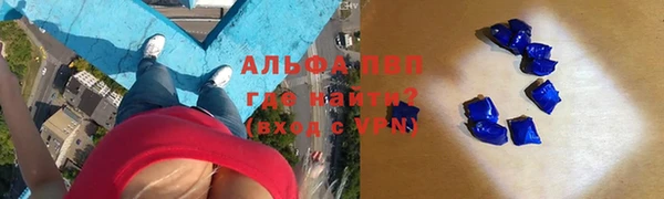 спиды Дмитриев