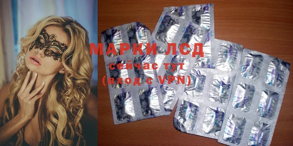 спиды Дмитриев